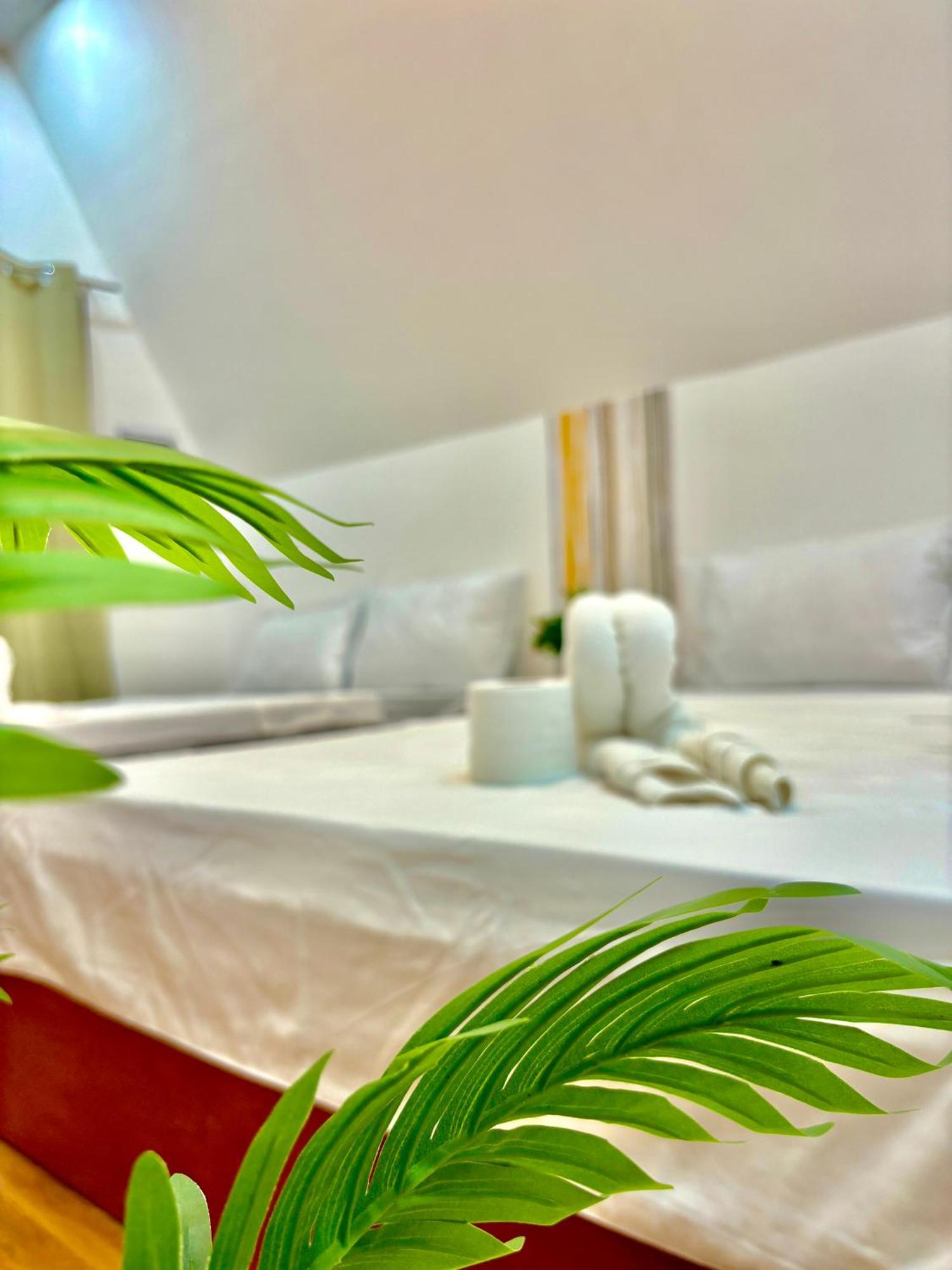 Villa Lovi Panagsama Beach موالبوال المظهر الخارجي الصورة